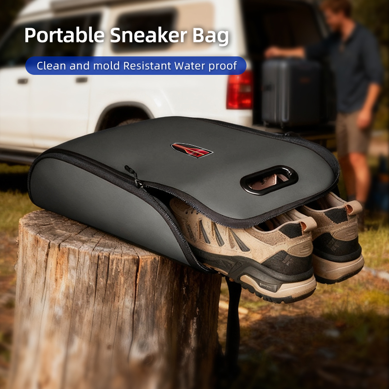 Bolsa para zapatillas de coche - Sneaker Care Shoe Box reseña y precio